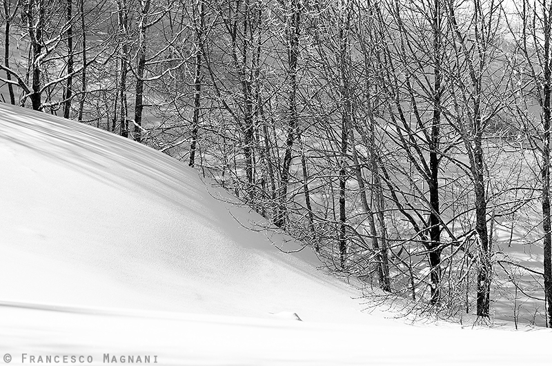fotografareininverno2