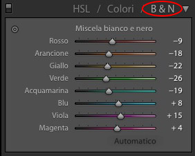 conversione in bianco e nero con lightroom
