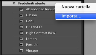 Come importare un singolo preset in Lightroom